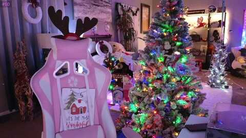 lexxistar @ myfreecams on 20231223