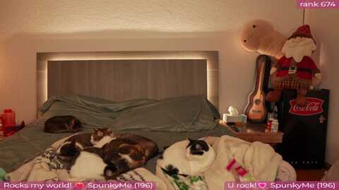 rpgmorgana @ myfreecams on 20231223