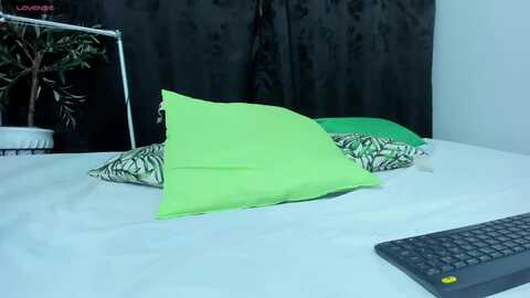 sandy_val @ myfreecams on 20231223