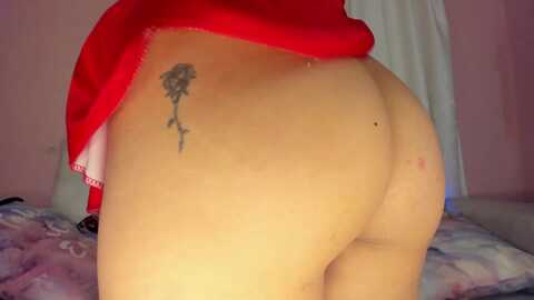 tiny_cora @ myfreecams on 20231223