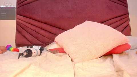 zabrina_hot1 @ myfreecams on 20231223
