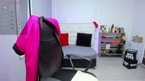 briannaoneal @ myfreecams on 20231224