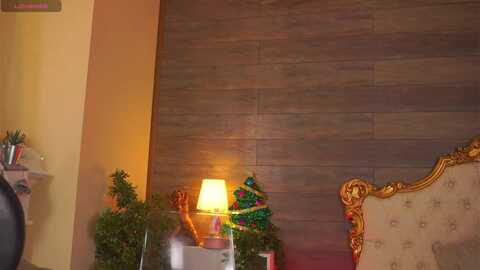 roshen_amira @ myfreecams on 20231225