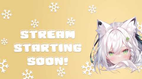 snowkitty @ myfreecams on 20231225