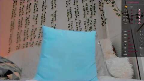 alliestark @ myfreecams on 20231226