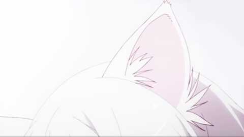 kitty @ myfreecams on 20231226