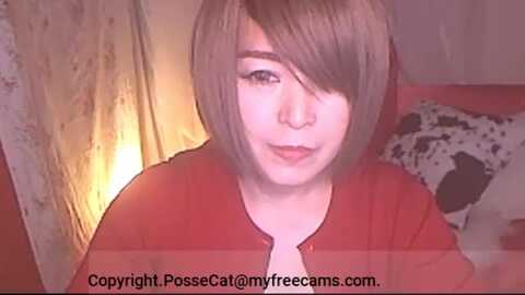 possecat