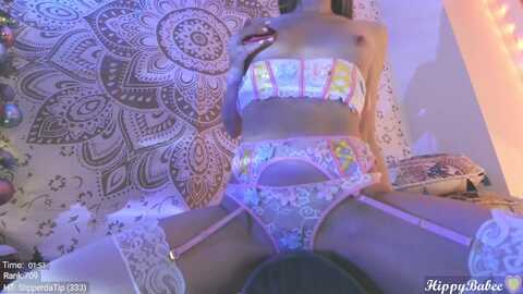 hippybabee @ myfreecams on 20231228