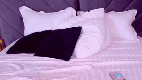 awwwella @ myfreecams on 20231229