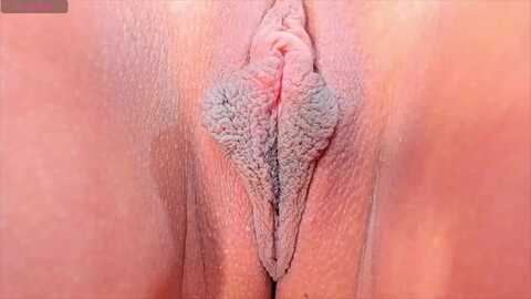 pollyjayms @ myfreecams on 20231229