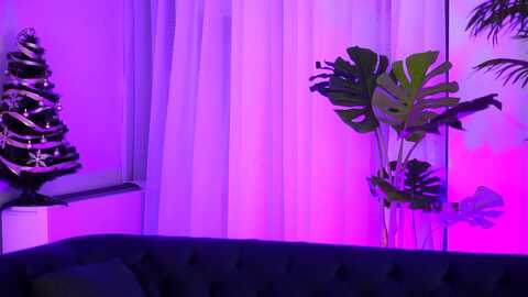 evasunderland @ myfreecams on 20231230