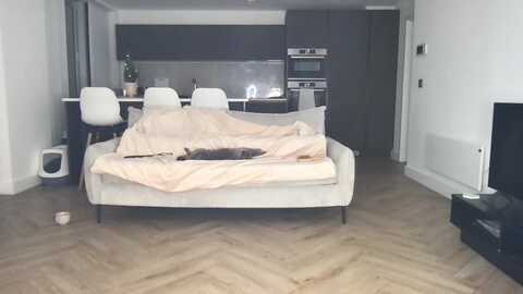 dreamy_peach @ myfreecams on 20231231