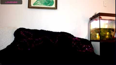 freaky_babes @ myfreecams on 20231231
