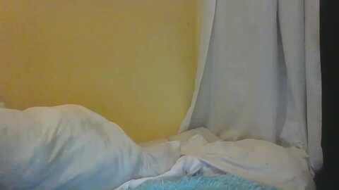 exoticlulu @ myfreecams on 20240101