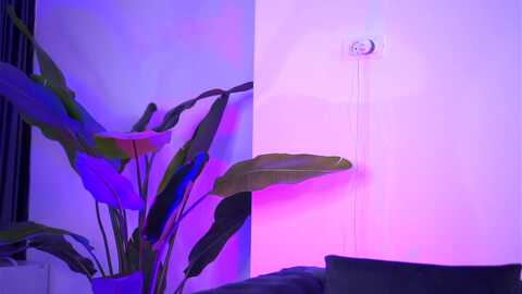 amber_xs @ myfreecams on 20240104