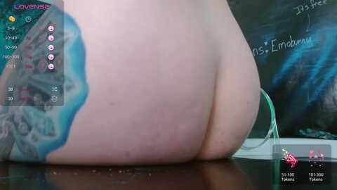 emoxbunny @ myfreecams on 20240104