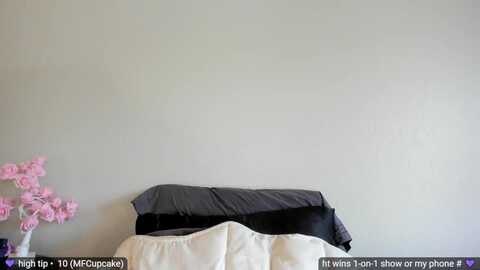 jayne @ myfreecams on 20240104