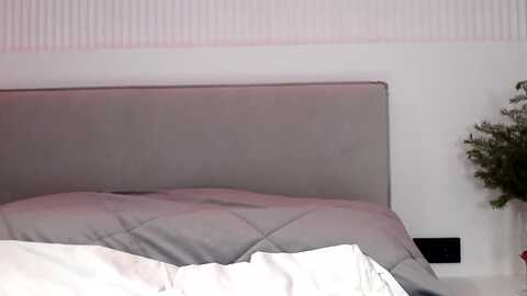 juicyylips @ myfreecams on 20240104