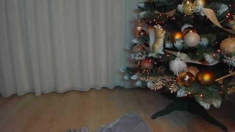 alissa_may @ myfreecams on 20240105