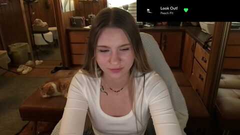 incognitobabe @ myfreecams on 20240105