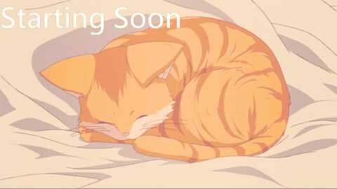 kitty @ myfreecams on 20240105