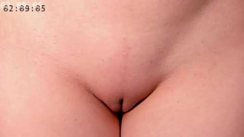 elysi_ @ myfreecams on 20240107