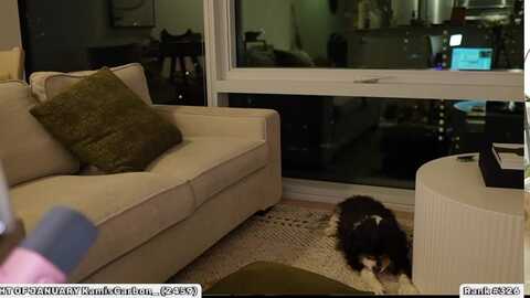 kamila__ @ myfreecams on 20240107