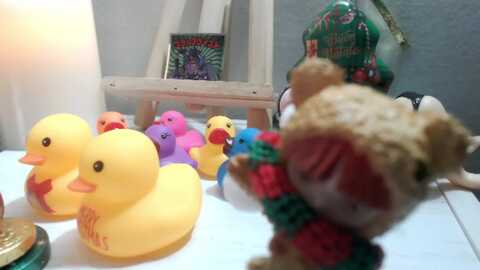 meows @ myfreecams on 20240107