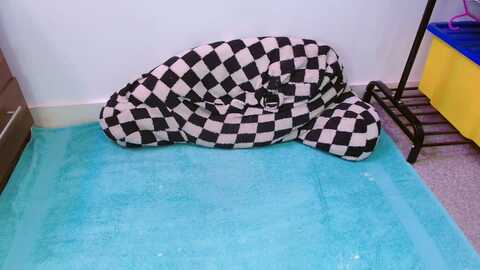 pixie_snow @ myfreecams on 20240107