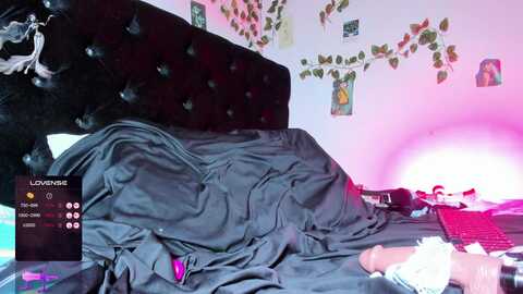 arabella_katt @ myfreecams on 20240108