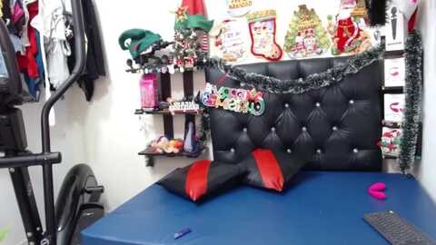 ashleymyerss @ myfreecams on 20240108