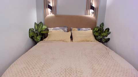 lekswest @ myfreecams on 20240108