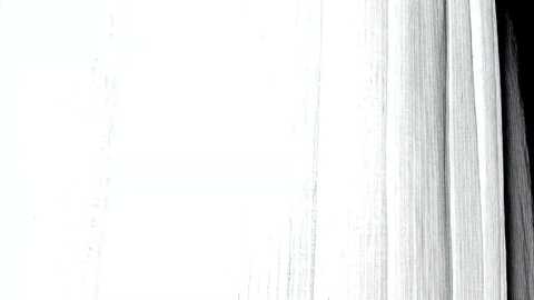 new_busty @ myfreecams on 20240108