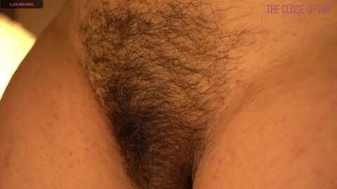 xdaphnemoss @ myfreecams on 20240108