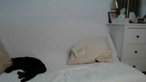 e_v_a___ @ myfreecams on 20240110