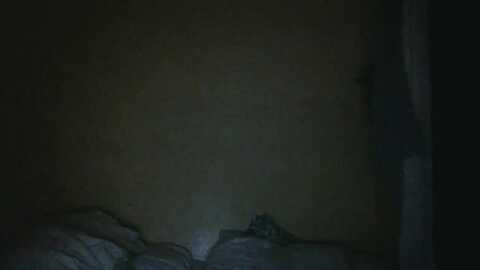exoticlulu @ myfreecams on 20240110