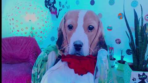 samy_love31