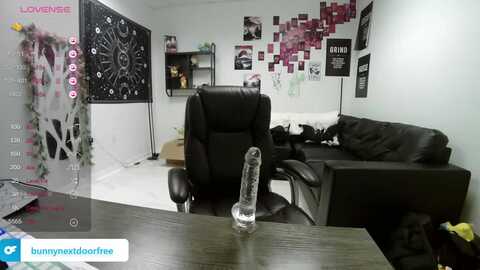 bunnynextdoor @ myfreecams on 20240111