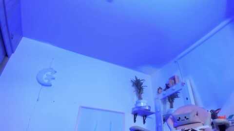 kokoro_9 @ myfreecams on 20240112