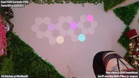 missmao @ myfreecams on 20240112