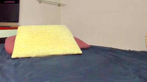 yes_sir @ myfreecams on 20240113