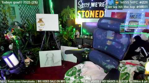 cherrybanks @ myfreecams on 20240114