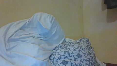 exoticlulu @ myfreecams on 20240114