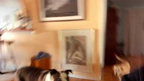 kissinghigh @ myfreecams on 20240114