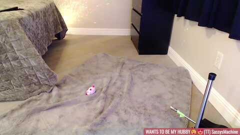 sassy_nympho @ myfreecams on 20240114