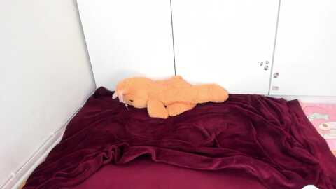 suzyfairy @ myfreecams on 20240114