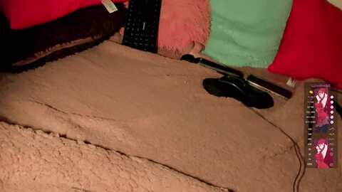 renatafih0or_ @ myfreecams on 20240115