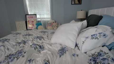 duckchan0 @ myfreecams on 20240116