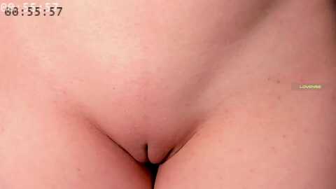 elysi_ @ myfreecams on 20240116