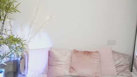 miss_reinat @ myfreecams on 20240116